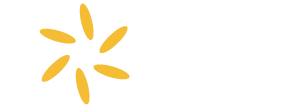 Altcoin Stories